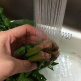 ほうれん草大量消費に 餃子入り常夜鍋 レシピ 作り方 By とまとまトマト1259 楽天レシピ ほうれん草大量消費に 餃子入り常夜鍋 レシピ 作り方 By とまとまトマト1259 楽天レシピ